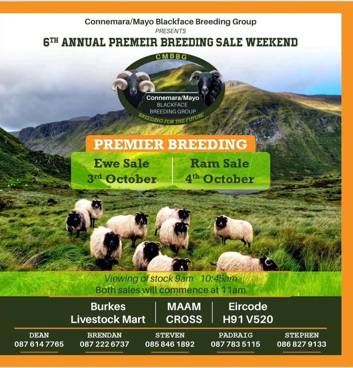 Connemara/mayo Sale