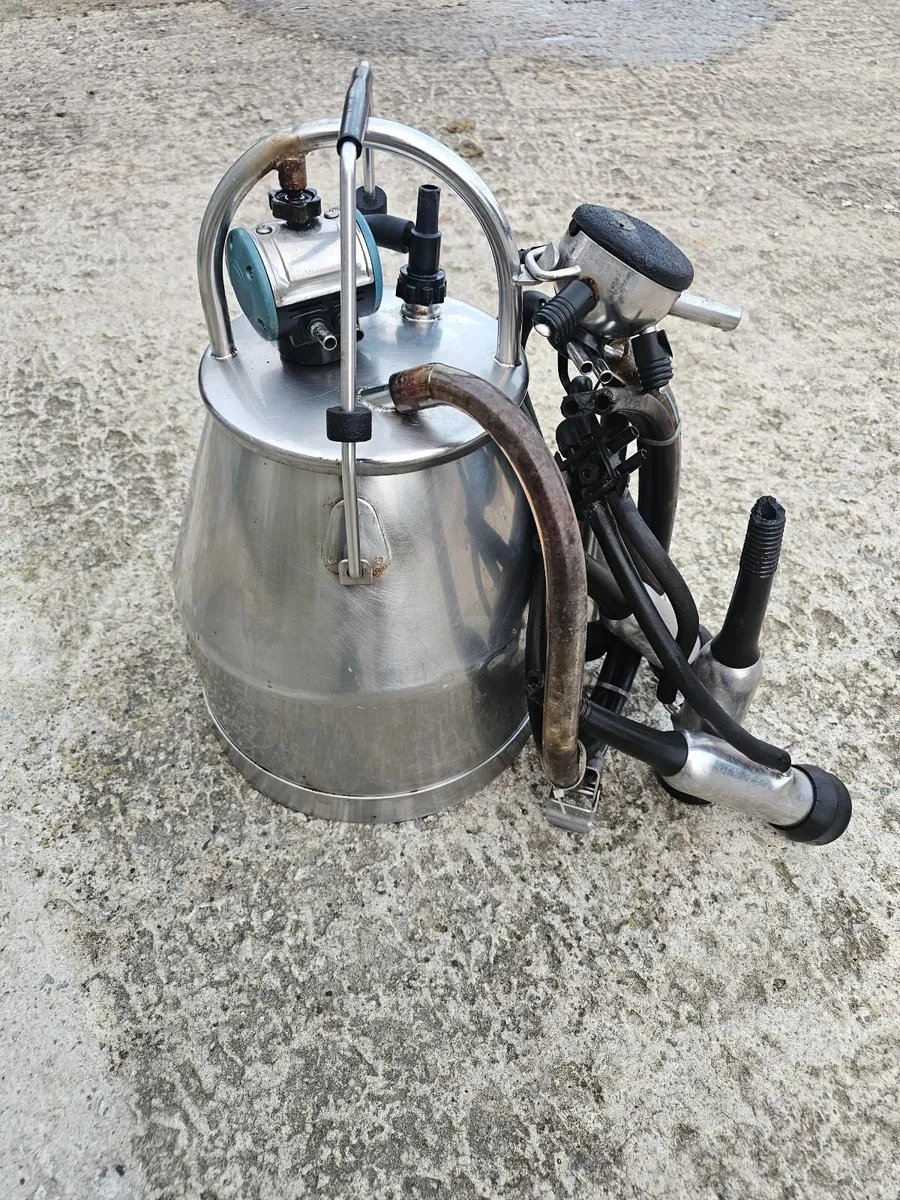 Milk bucket - Image 2