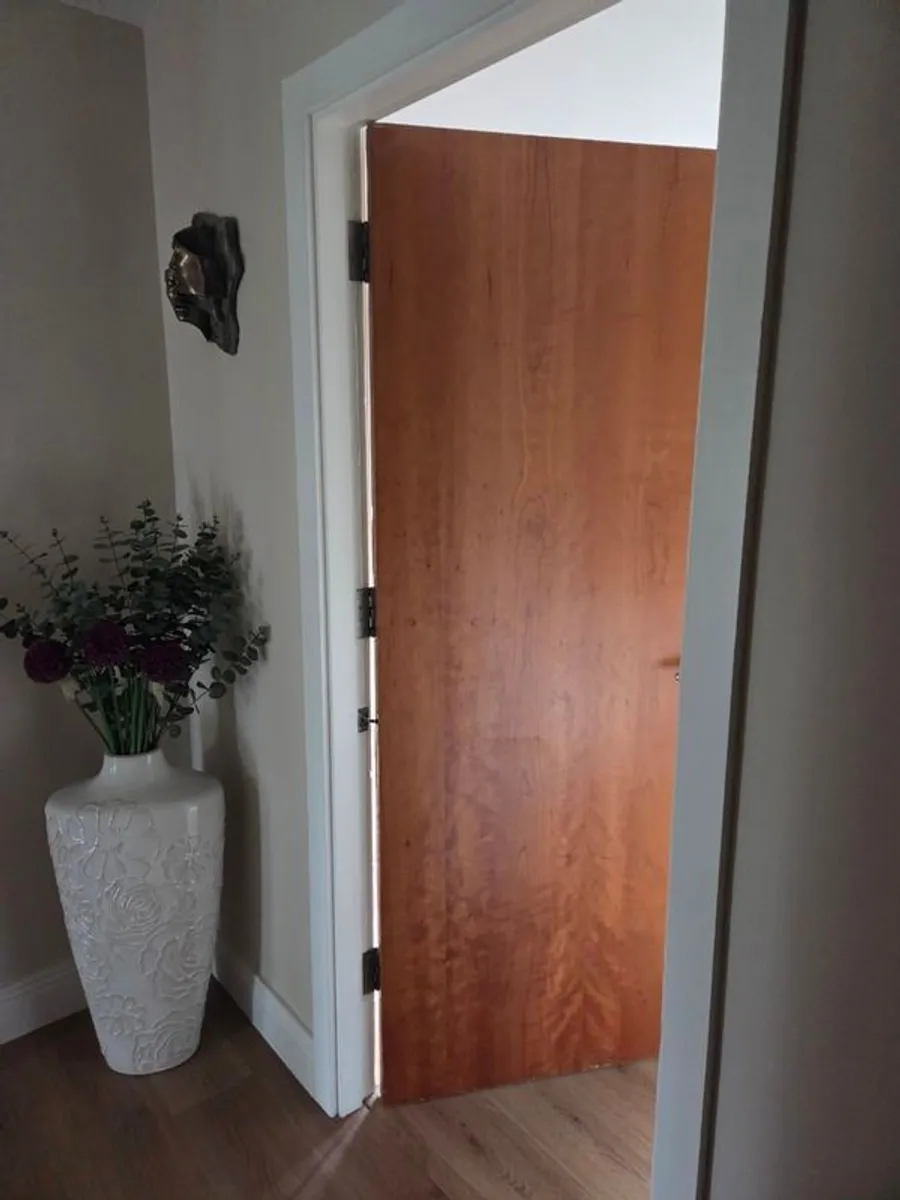 Internal Solid Doors - Image 3