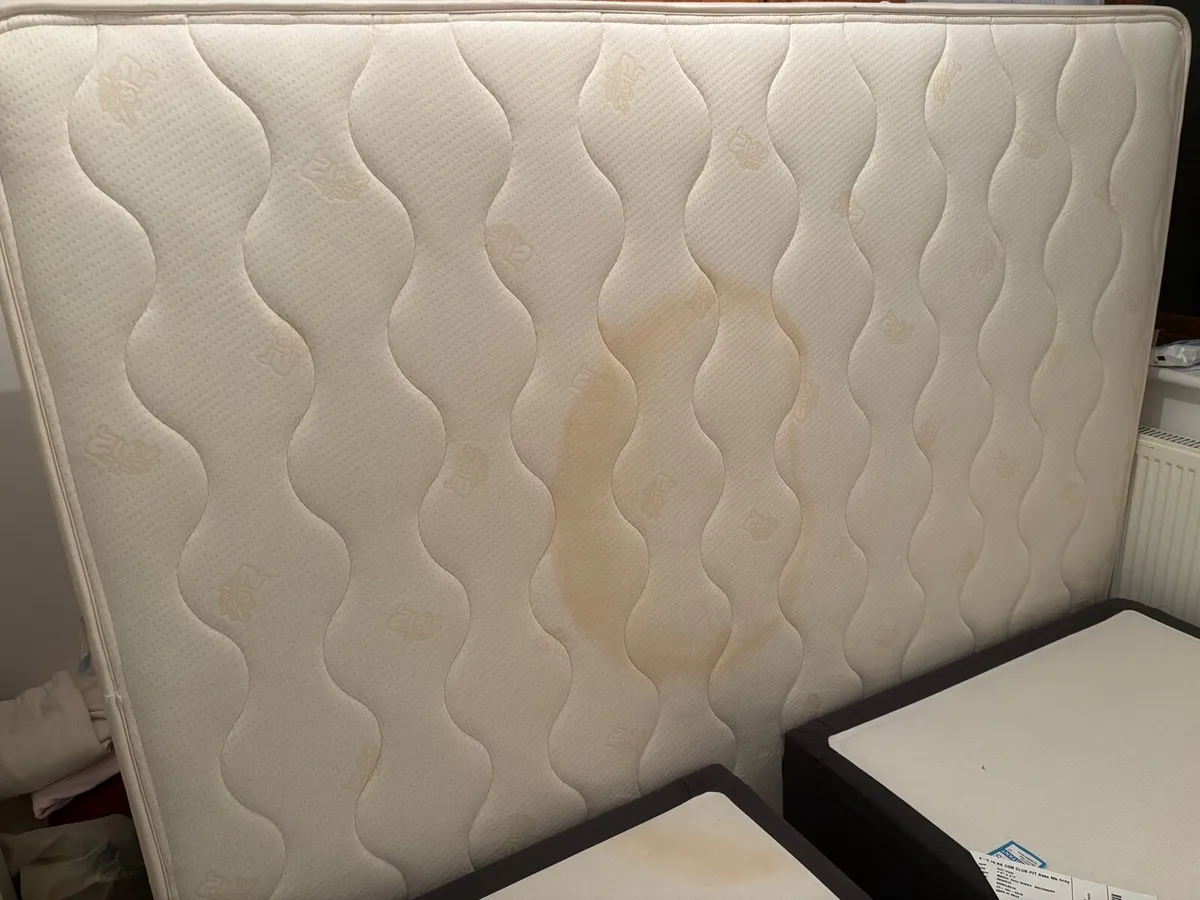 FREE King Mattress - Image 1