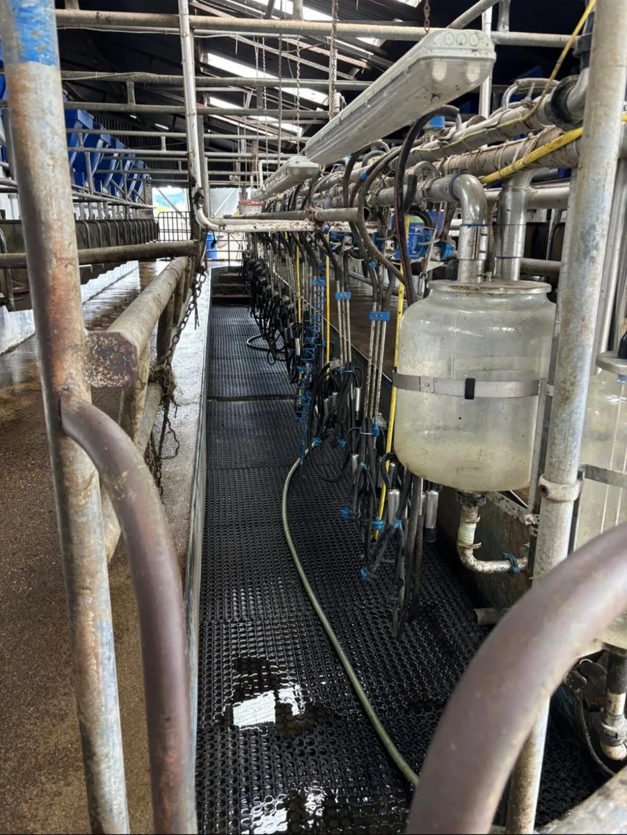 18 unit Dairymaster Milking Parlour - Image 3