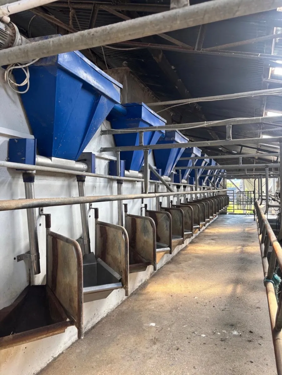18 unit Dairymaster Milking Parlour - Image 4