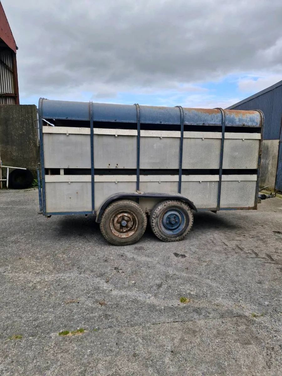 12x6 Cattle Trailor - Image 2