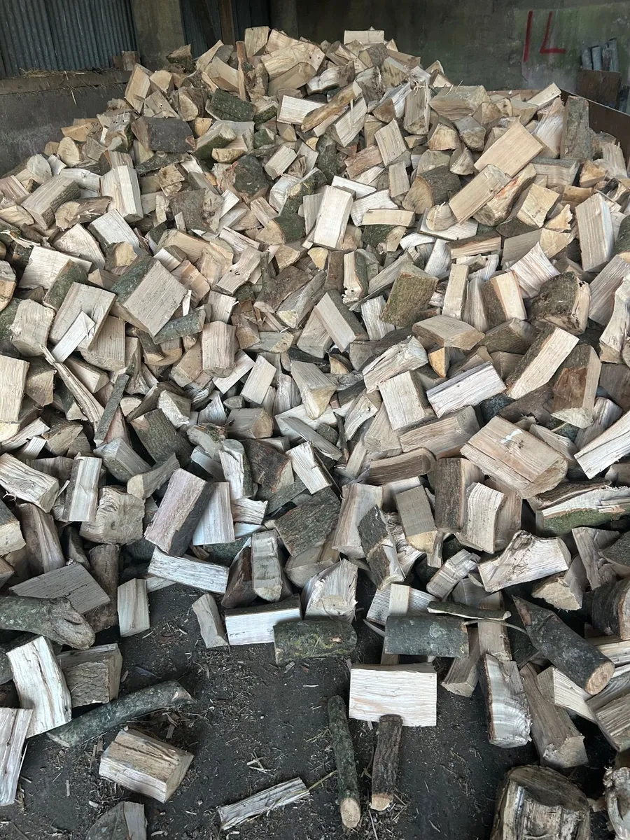 Firewood - Image 3
