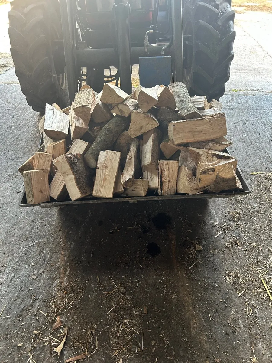 Firewood - Image 1