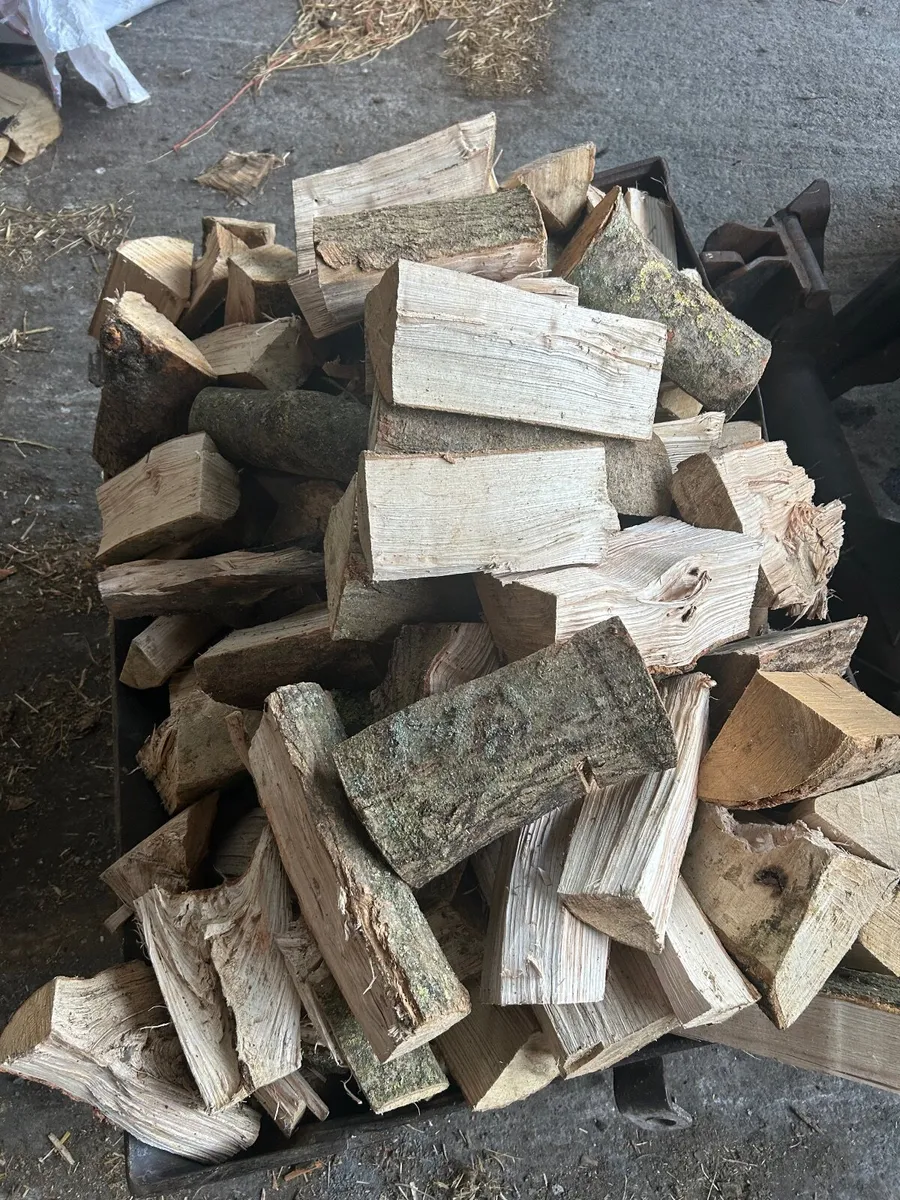 Firewood - Image 4