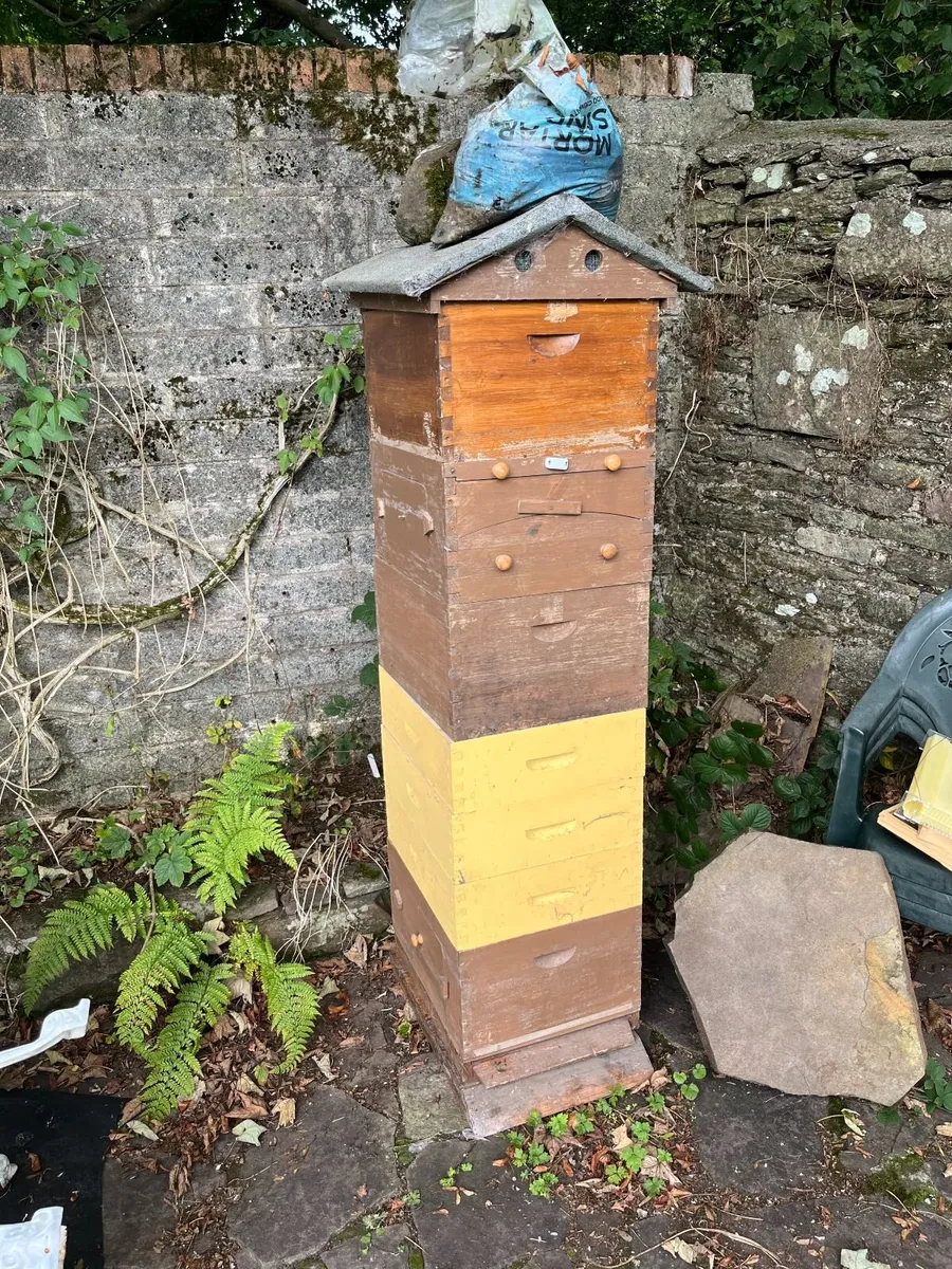 Beekeeping equipment - Image 2