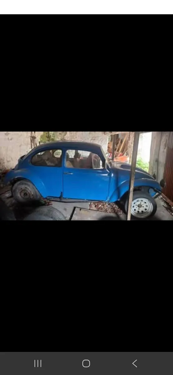 Beetle baja - Image 1