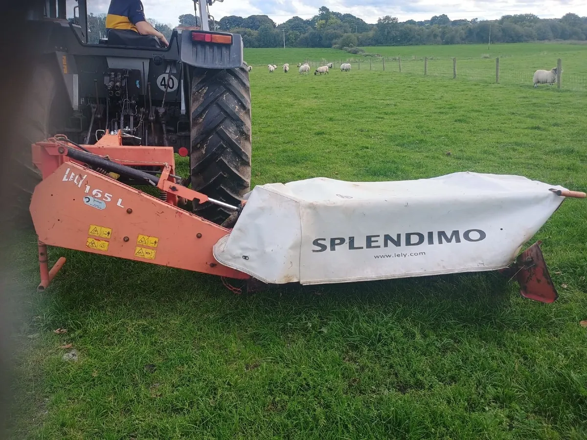 LELY 165 L mower - Image 1