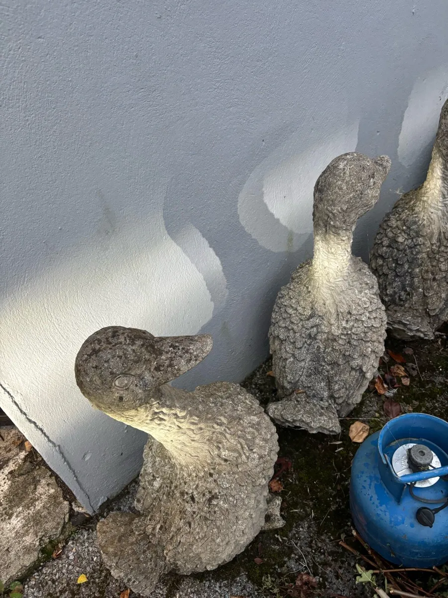 Concrete Geese - Image 1
