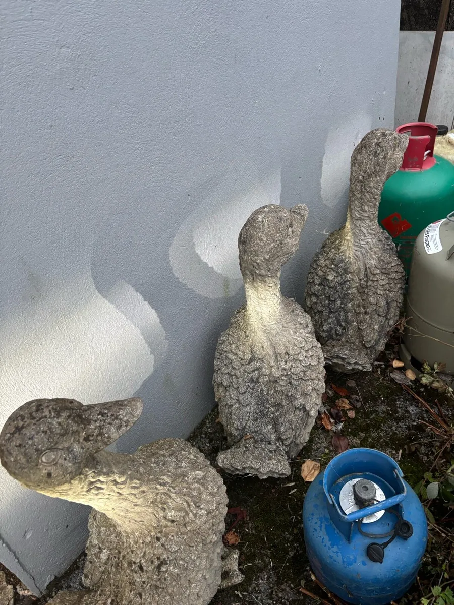 Concrete Geese - Image 2