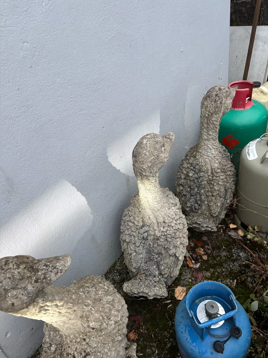 Concrete Geese - Image 3