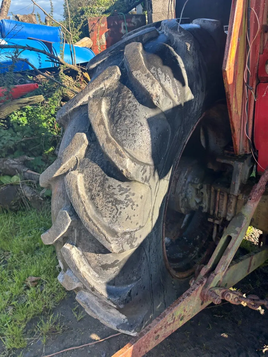 16.9 x 34 tyres on rims Massey - Image 2