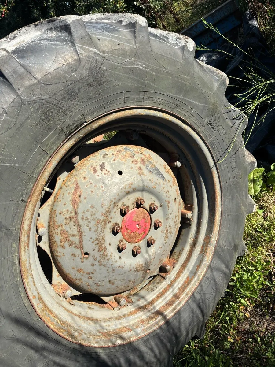 16.9 x 34 tyres on rims Massey - Image 3