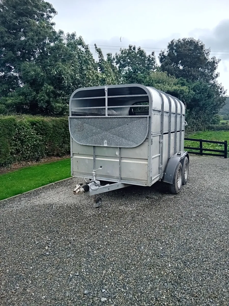 Cattle trailer - Image 4