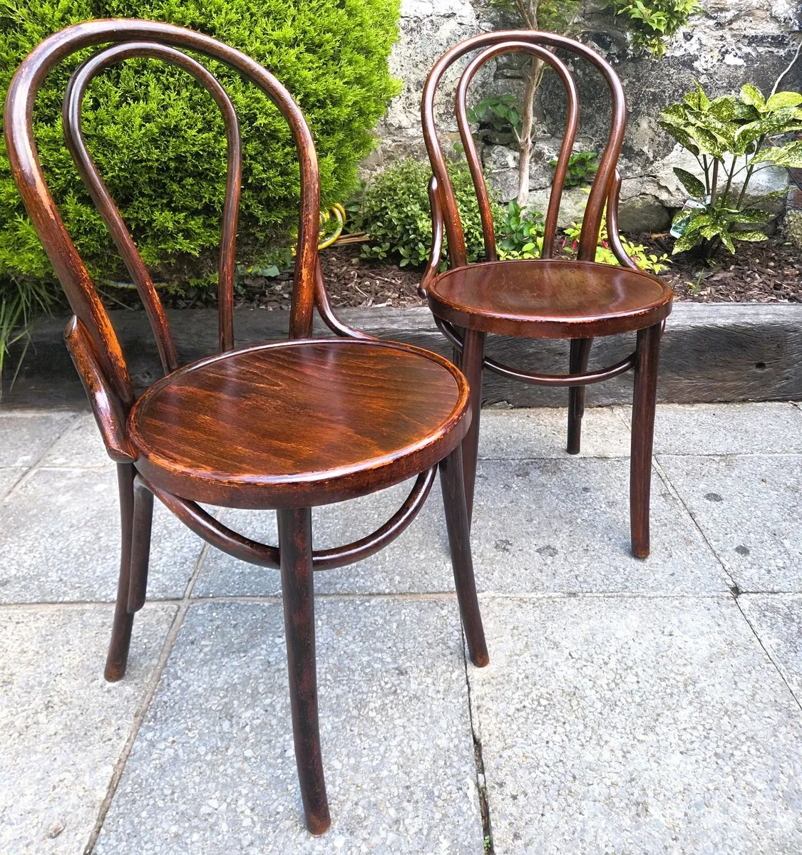 Antique Bentwood Chairs- Circa 1920s - Image 2