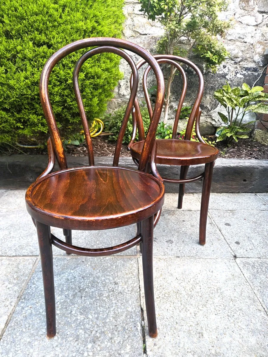 Antique Bentwood Chairs- Circa 1920s - Image 3