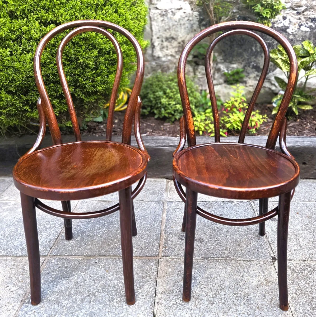 Antique Bentwood Chairs- Circa 1920s - Image 1
