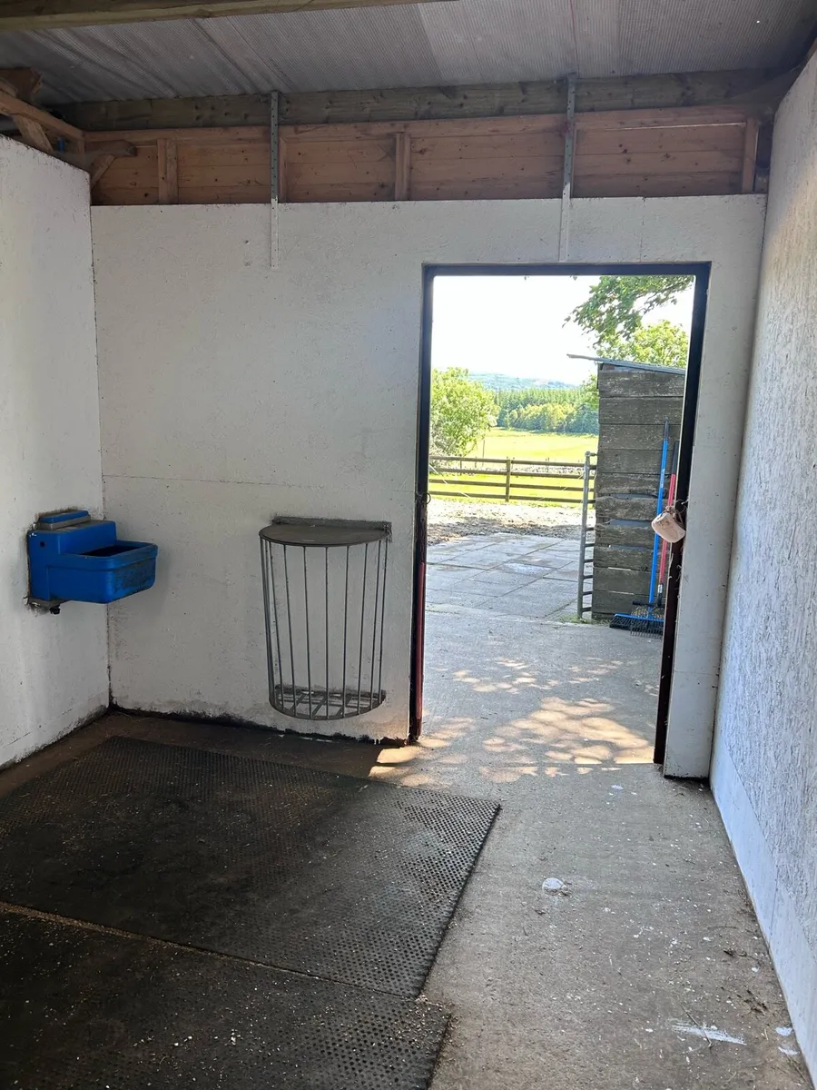 2X wooden frame stables - Image 4