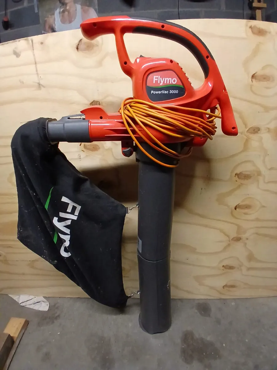 Leaf blower