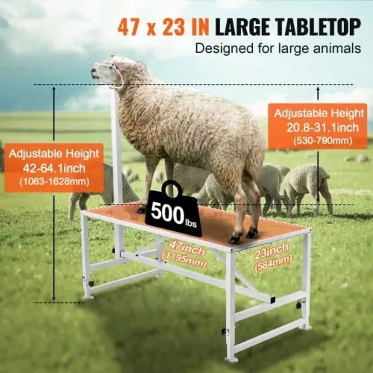 Goat & Sheep Stand, 47x23 inch Livestock Stand, Me - Image 2