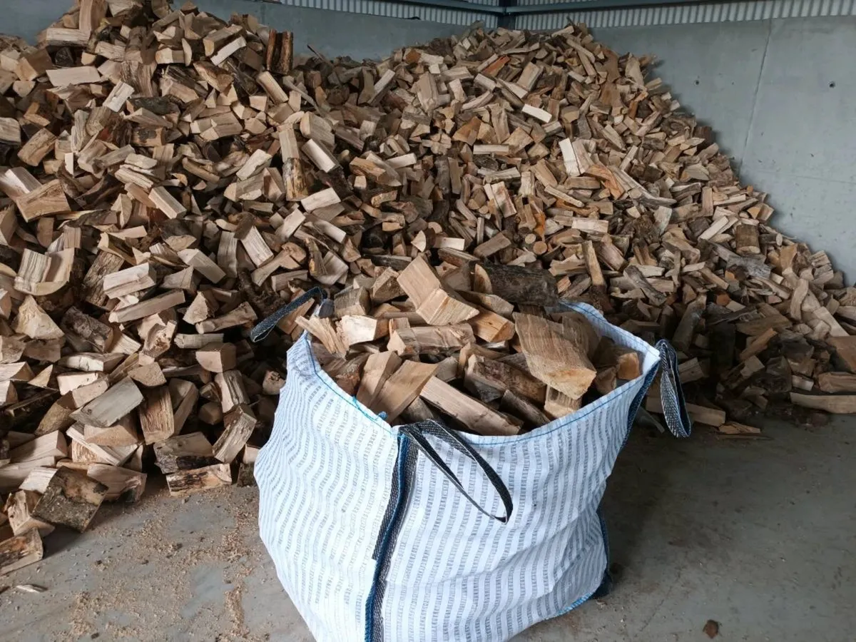 Firewood - Image 1