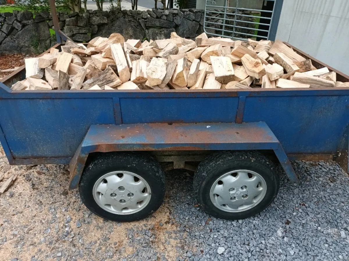 Firewood - Image 3