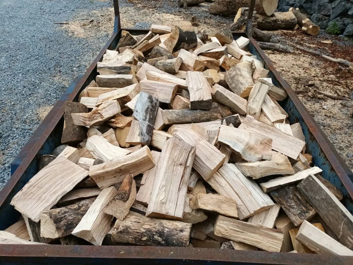 Firewood - Image 4
