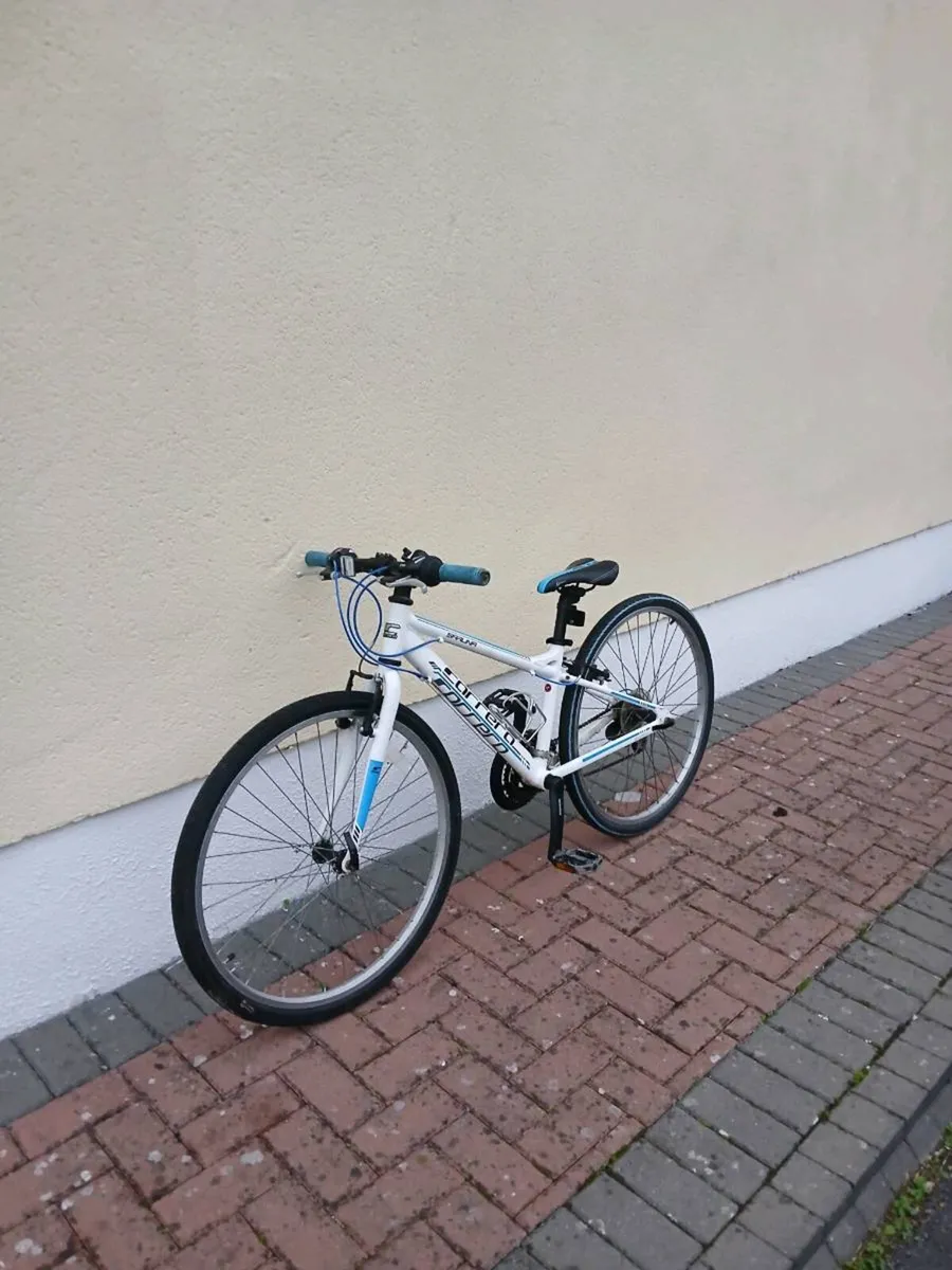 Bike - Image 1