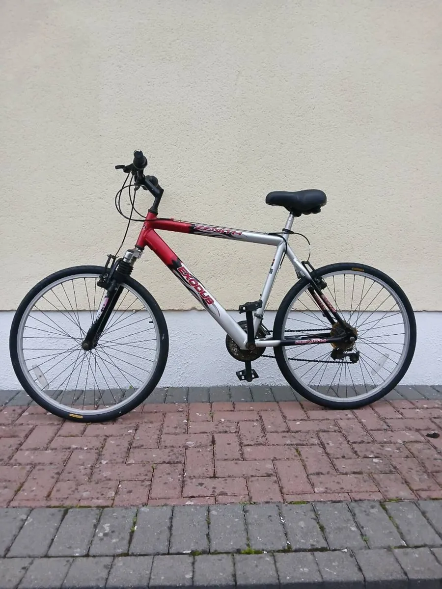 Bike - Image 1