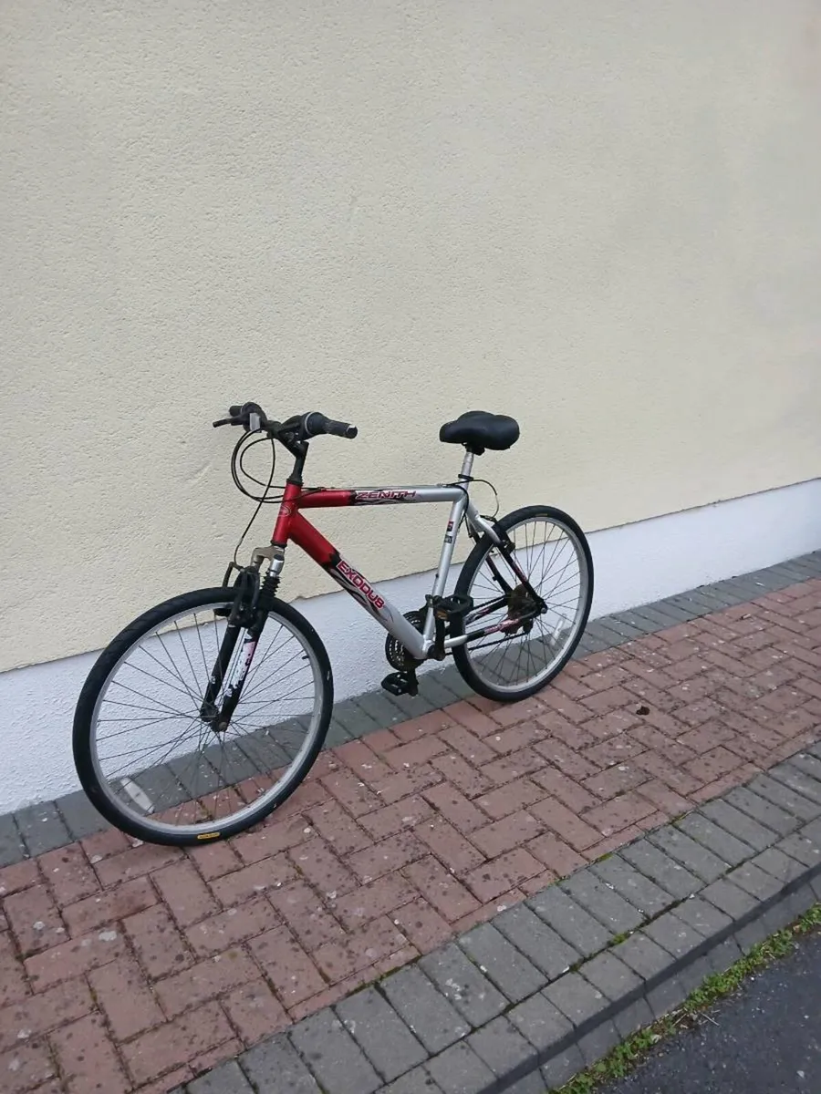 Bike - Image 2