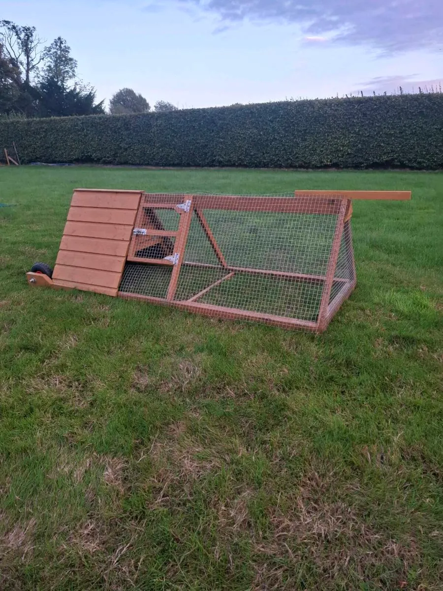 Chicken coop - Image 1