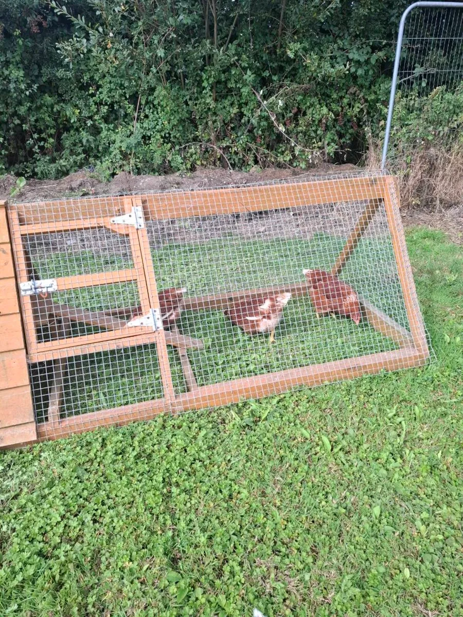 Chicken coop - Image 3