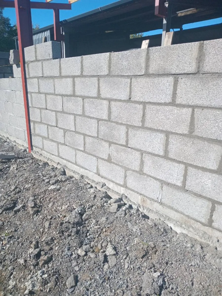 Plasterer builder - Image 1