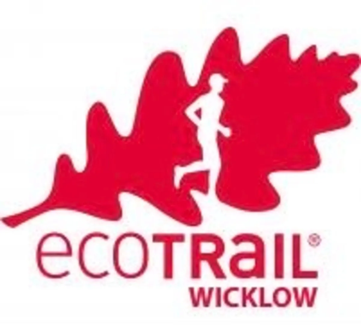 EcoTrail Wicklow 46km Ticket