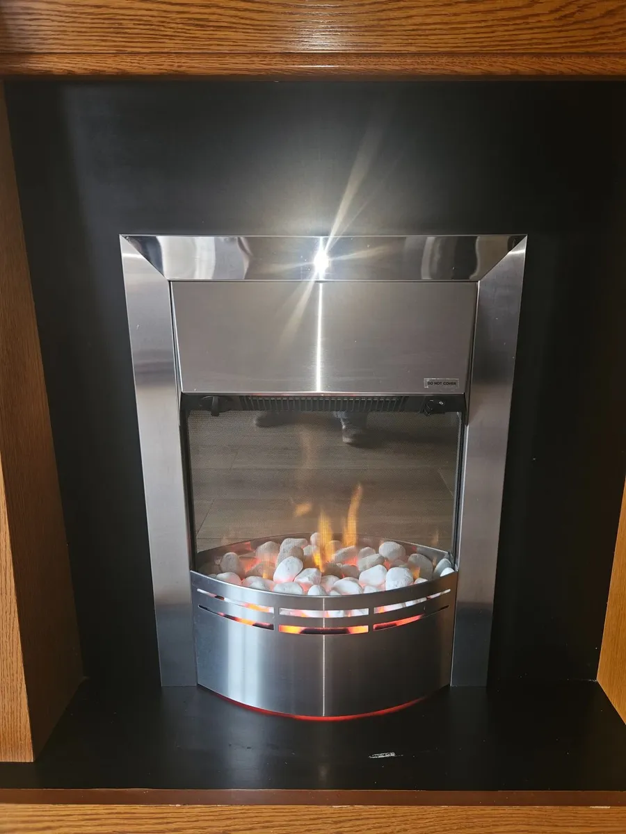 Free stanfing fireplace and electric fire - Image 2