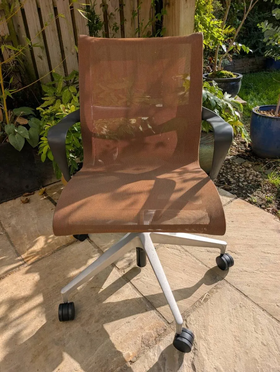 Ergonomic office chair - Image 1