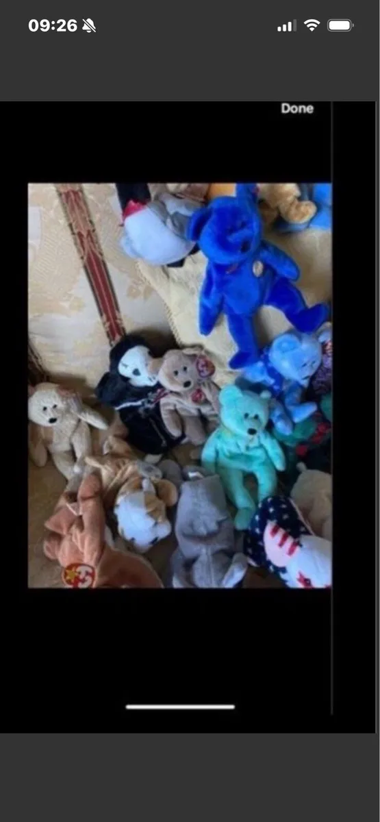 Vintage Beanie Babies Collectors Pieces - Image 1