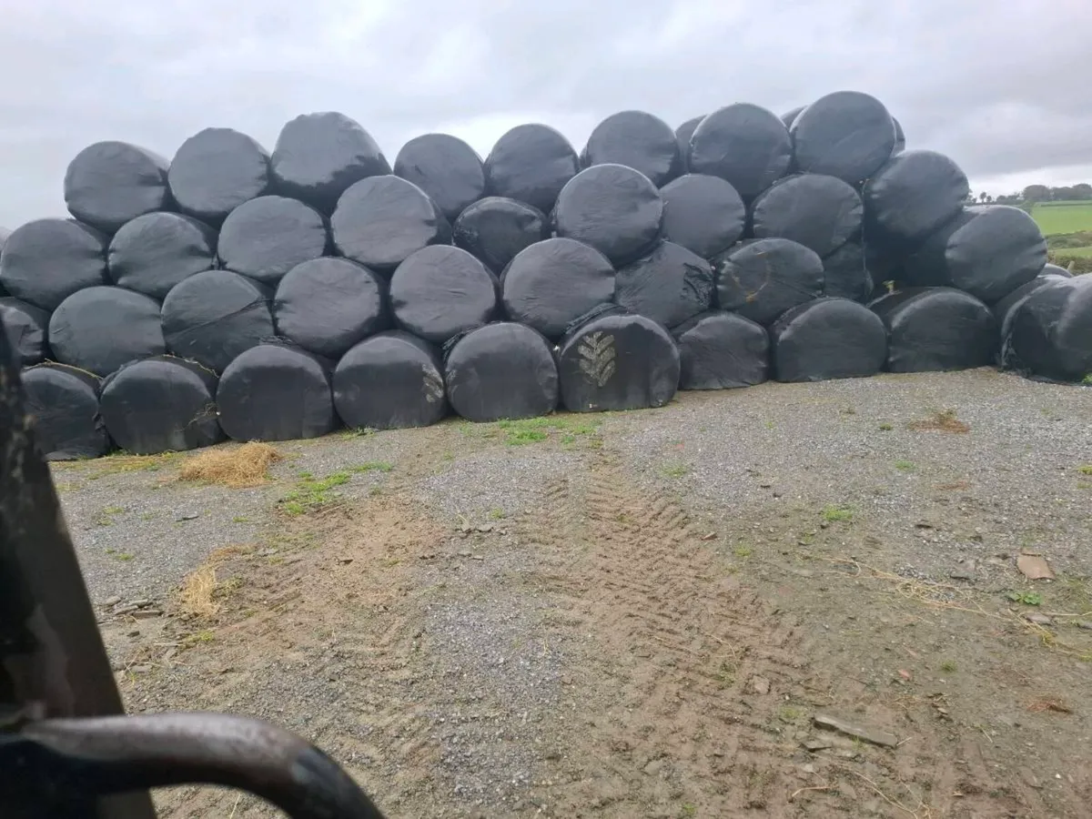 1st cut silage bales