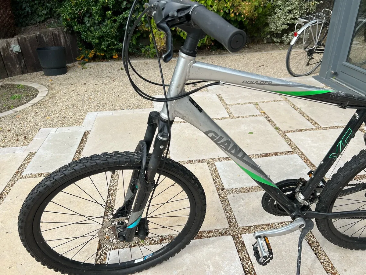 Mountain bike - Image 1