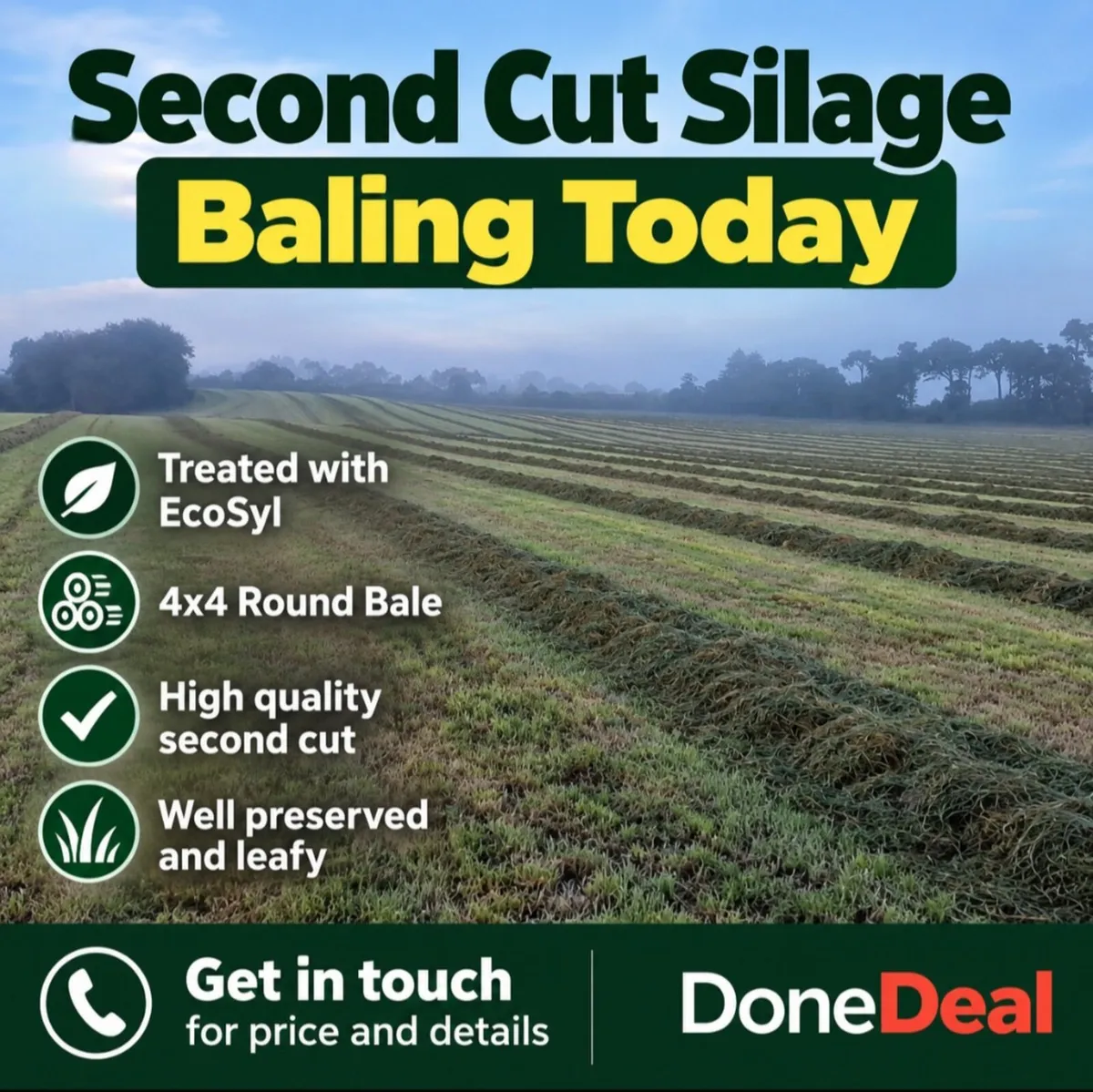 Silage bales - Image 1