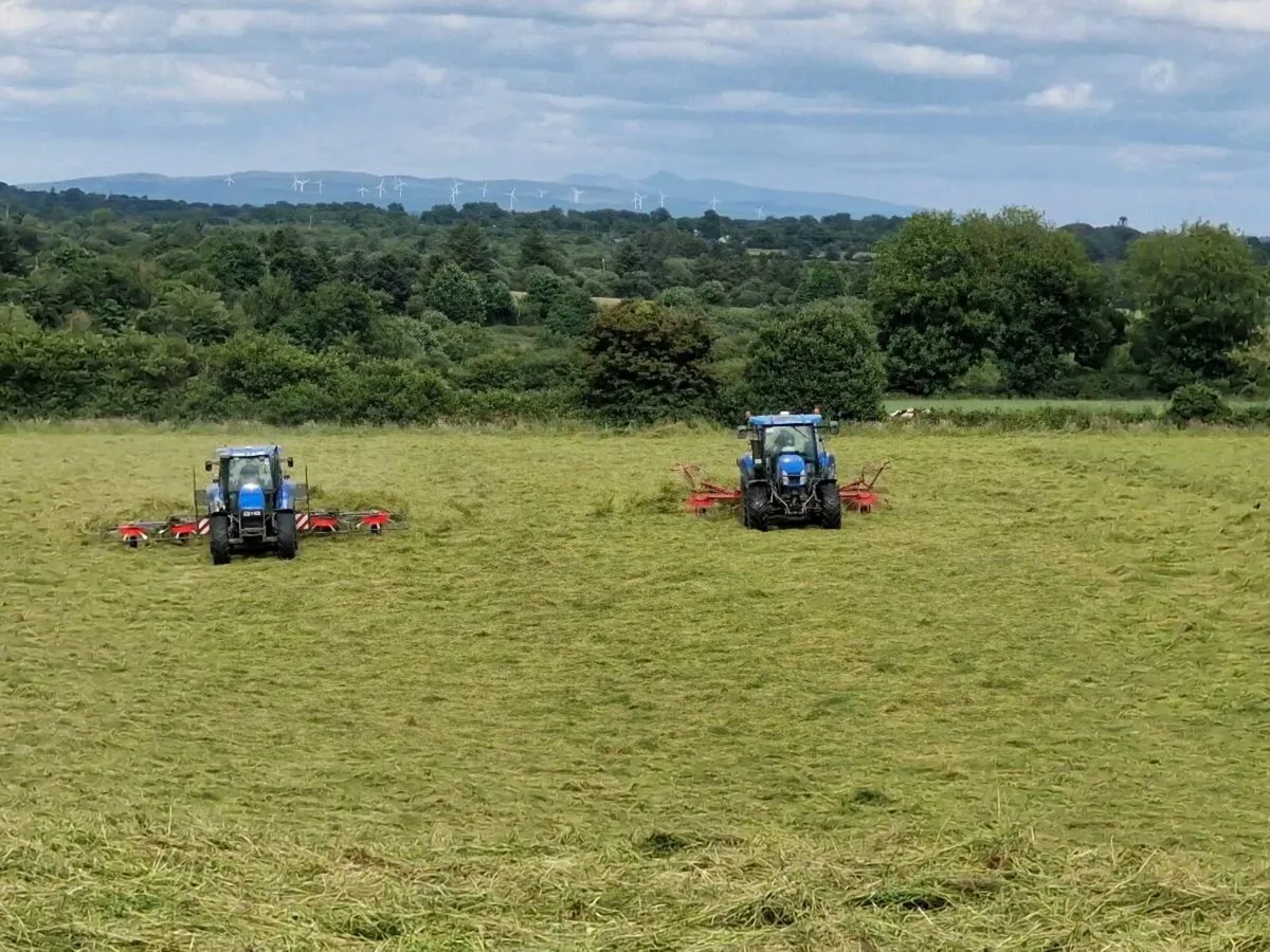 Silage bales - Image 3