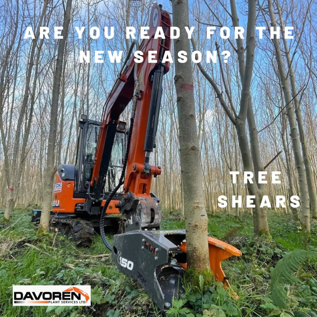 Tree Shears Ireland - Get them trees down safe!!!! - Image 1