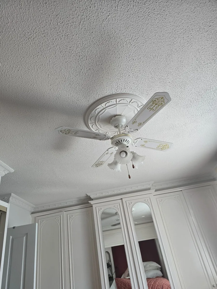 Light fitting with fan