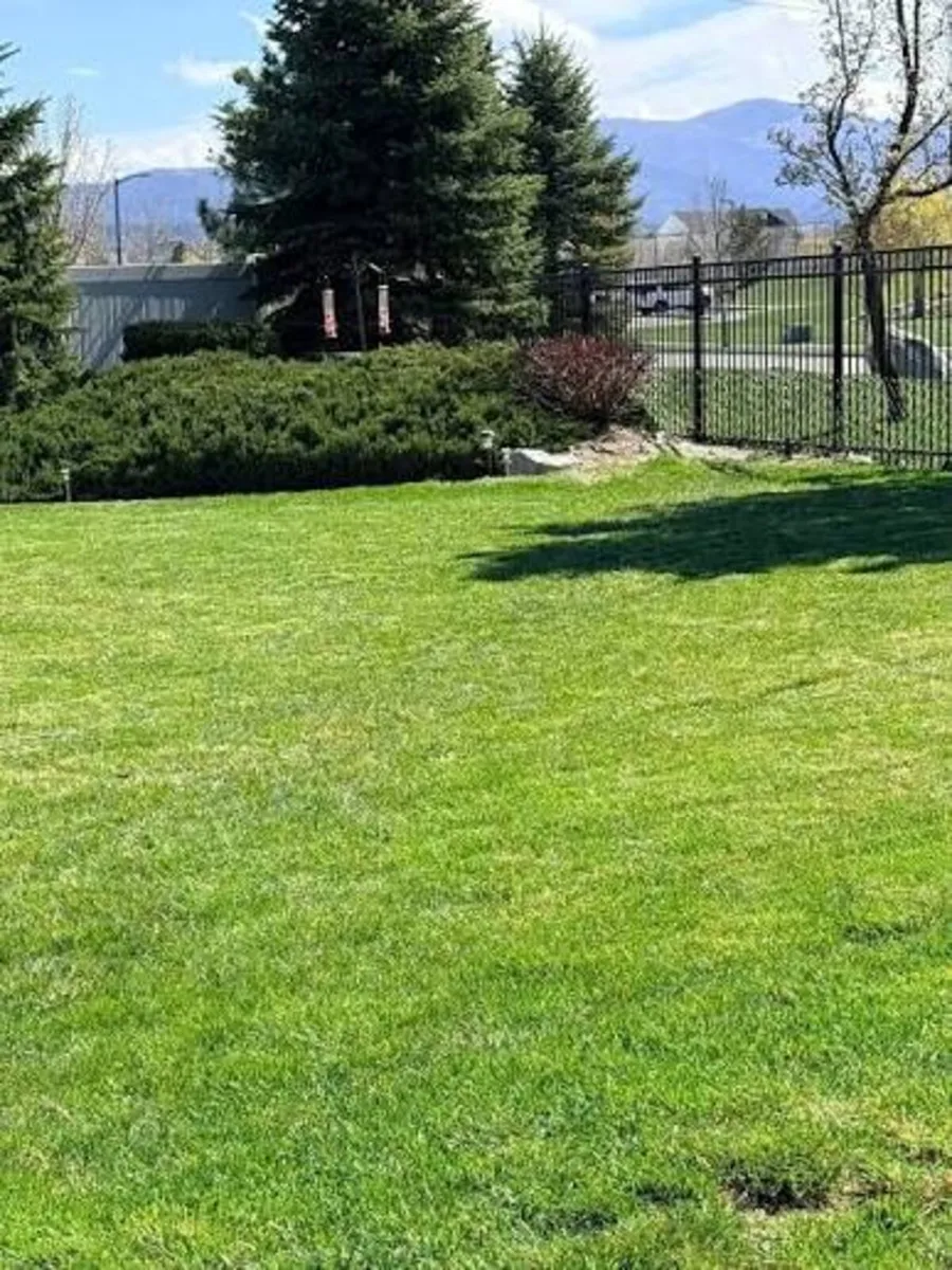 Grass cutting, power washing etc - Image 1