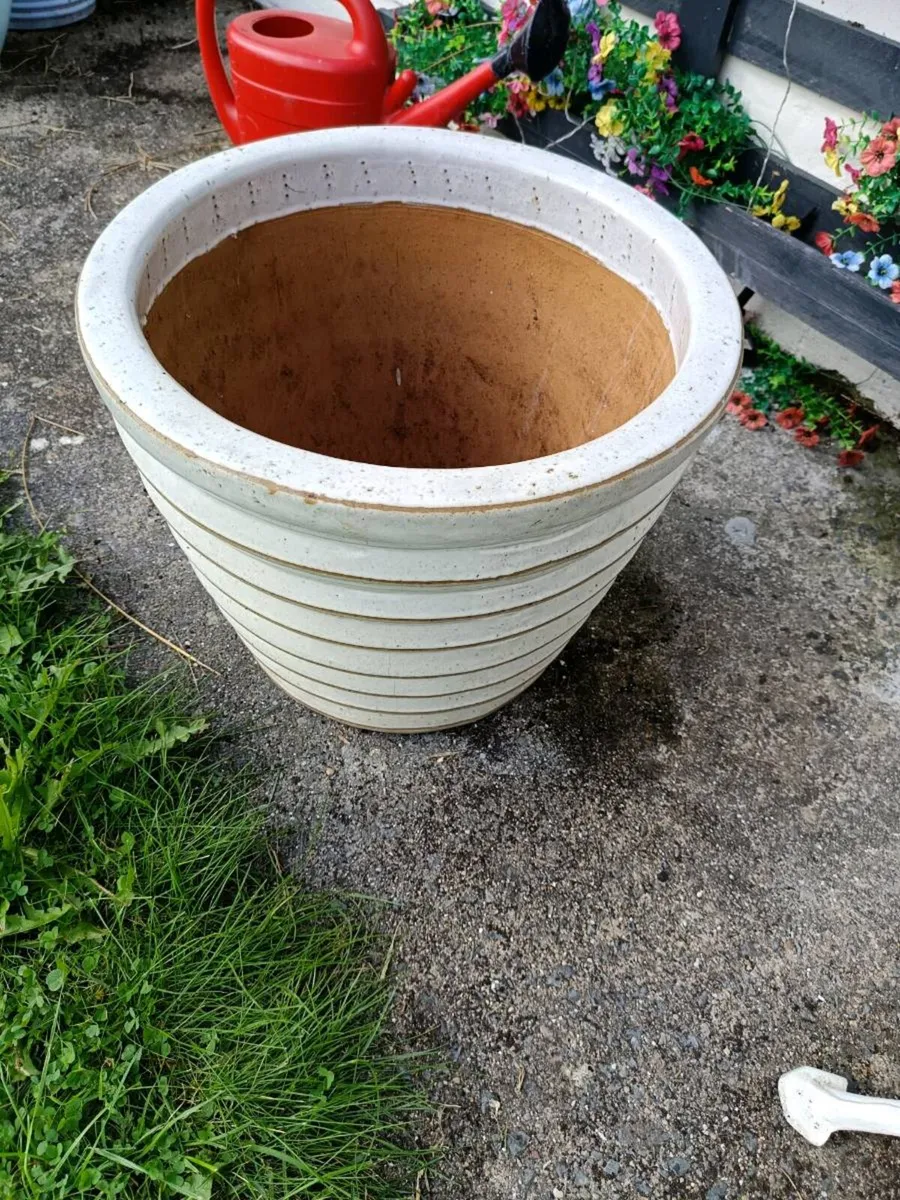 Plant pot - Image 2