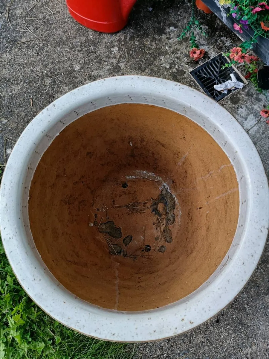 Plant pot - Image 3