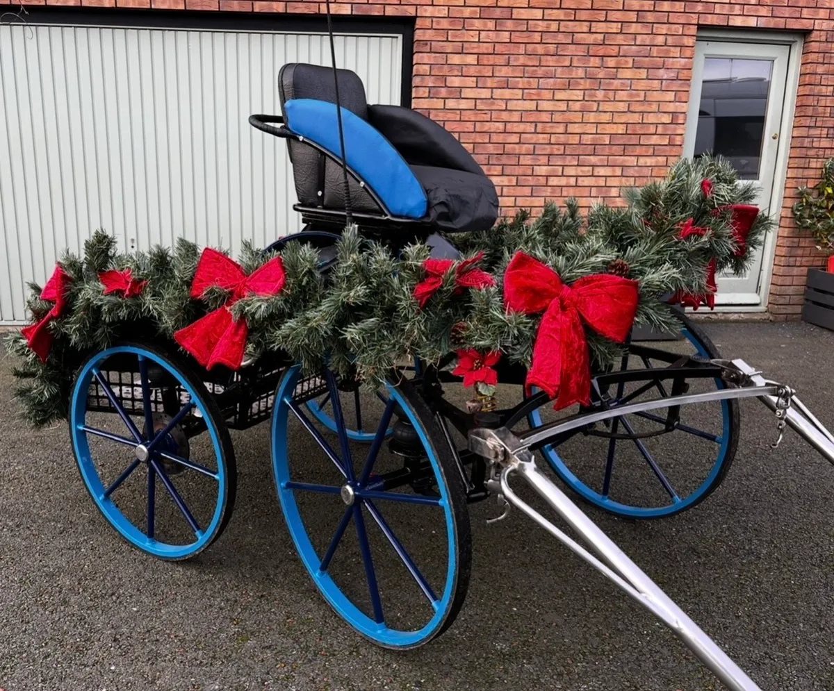 Horse carriage - Image 3