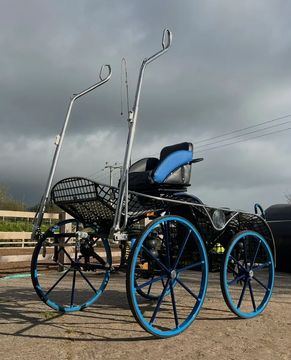Horse carriage - Image 1