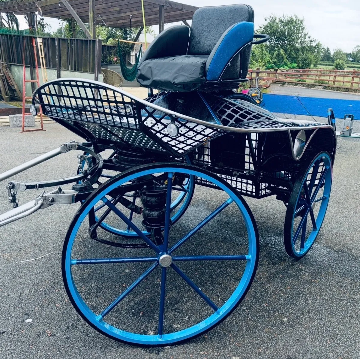 Horse carriage - Image 2